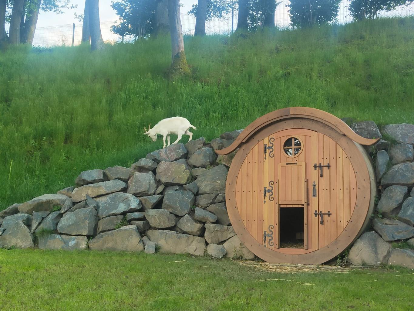 Chantier insolite maison type Hobbit pour des chèvres