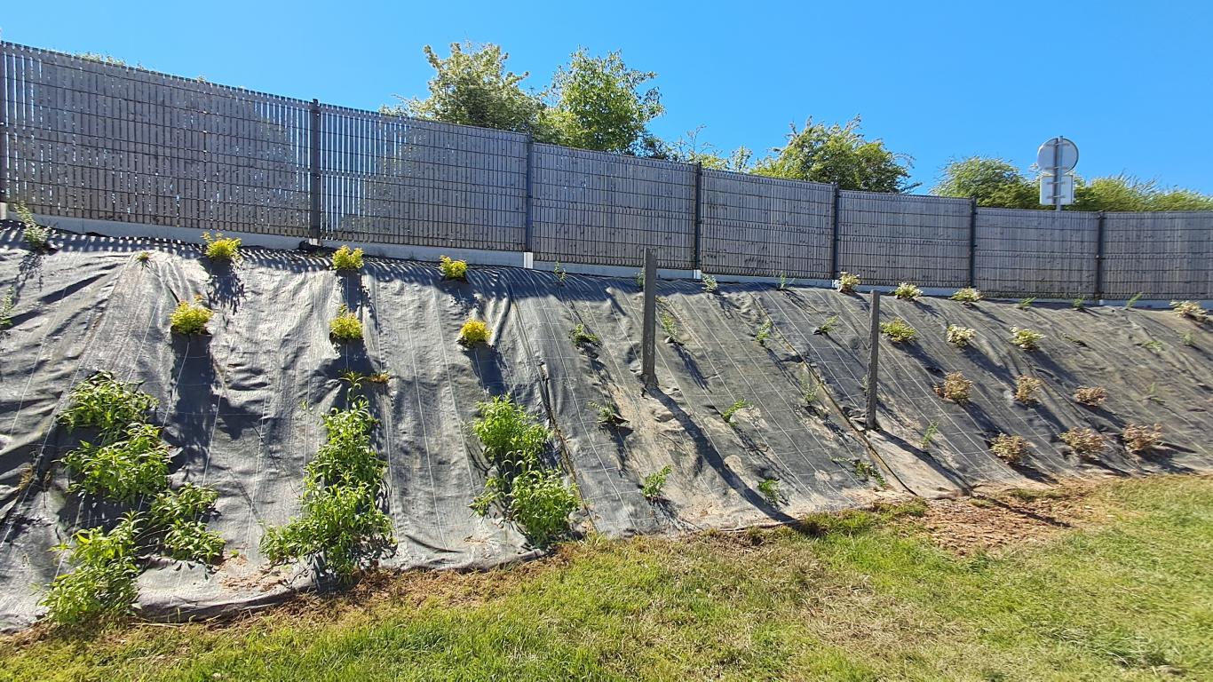 Création paysagère