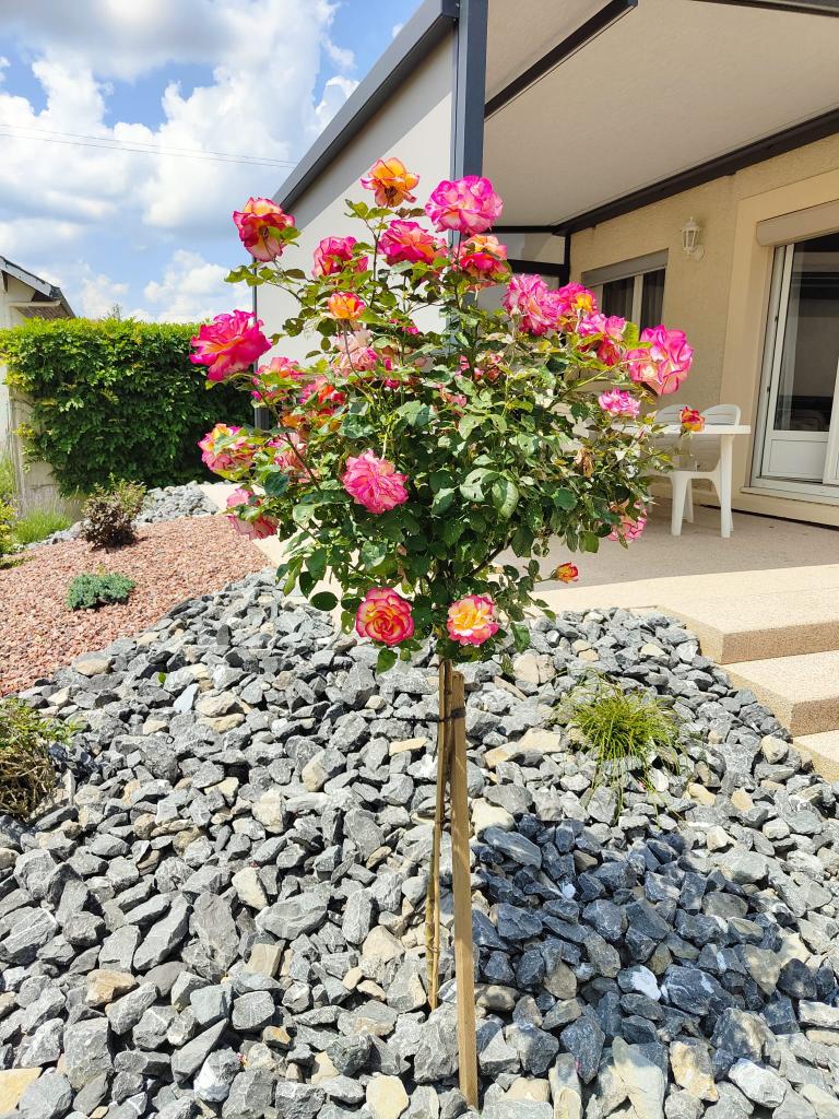 Aménagements paysagers